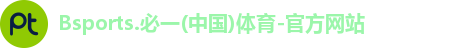 B体育官网